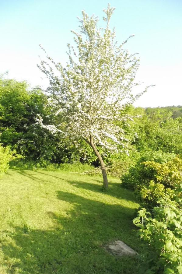 Bed and Breakfast La Lustinoise Екстер'єр фото